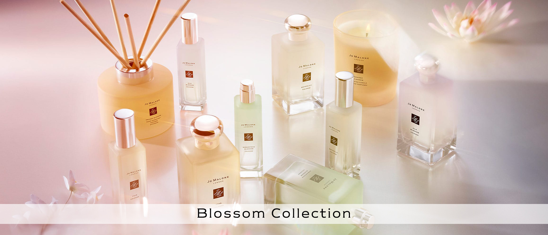 Jo Malone, Jo Malone London, โจ มาโลน ลอนดอน, Jo Malone Waterlily Cologne, Jo Malone Waterlily Cologne 30ml, Waterlily, Waterlily Cologne, น้ำหอม Jo Malone, Blossom Collection, Limited Edition