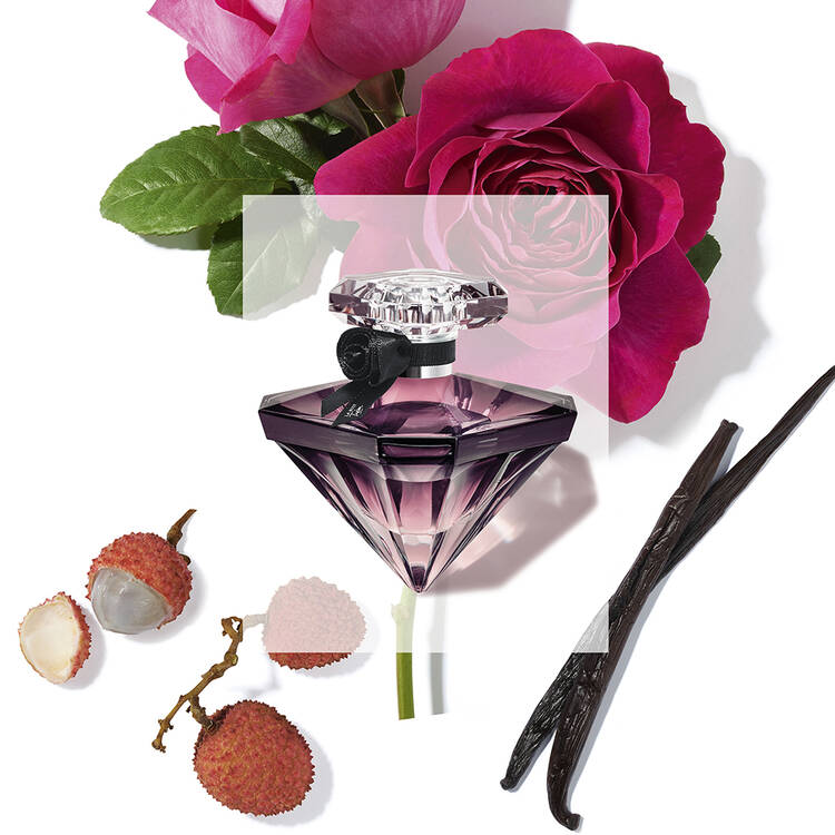 Lancome La Nuit Tresor L'eau de Parfume  Top Note: Lychee, Raspberry  Middle Note: Rose Damascena Essence, Incense  Base Note: Absolute Vanilla Orchid Tahitensis, Praline, Patchouli, Papyrus