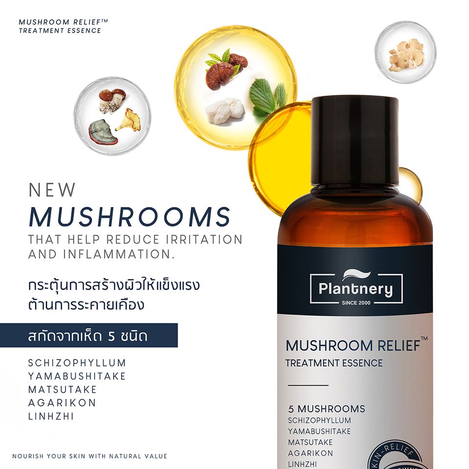 Plantnery , แพลนท์เนอรี่,MUSHROOM RELIEF TREATMENT ESSENCE,Plantnery Mushroom Relief Night Repair Serum,มัชรูม ไนท์ รีแพร์ เซรั่ม,แพลนท์เนอรี่เซรั่มเห็ด,เซรั่มเห็ด,เซรั่มแพลนท์เนอรี่,Plantneryรีวิว,แพลนท์เนอรี่รีวิว,วิธีใช้ แพลนท์เนอรี่เซรั่ม