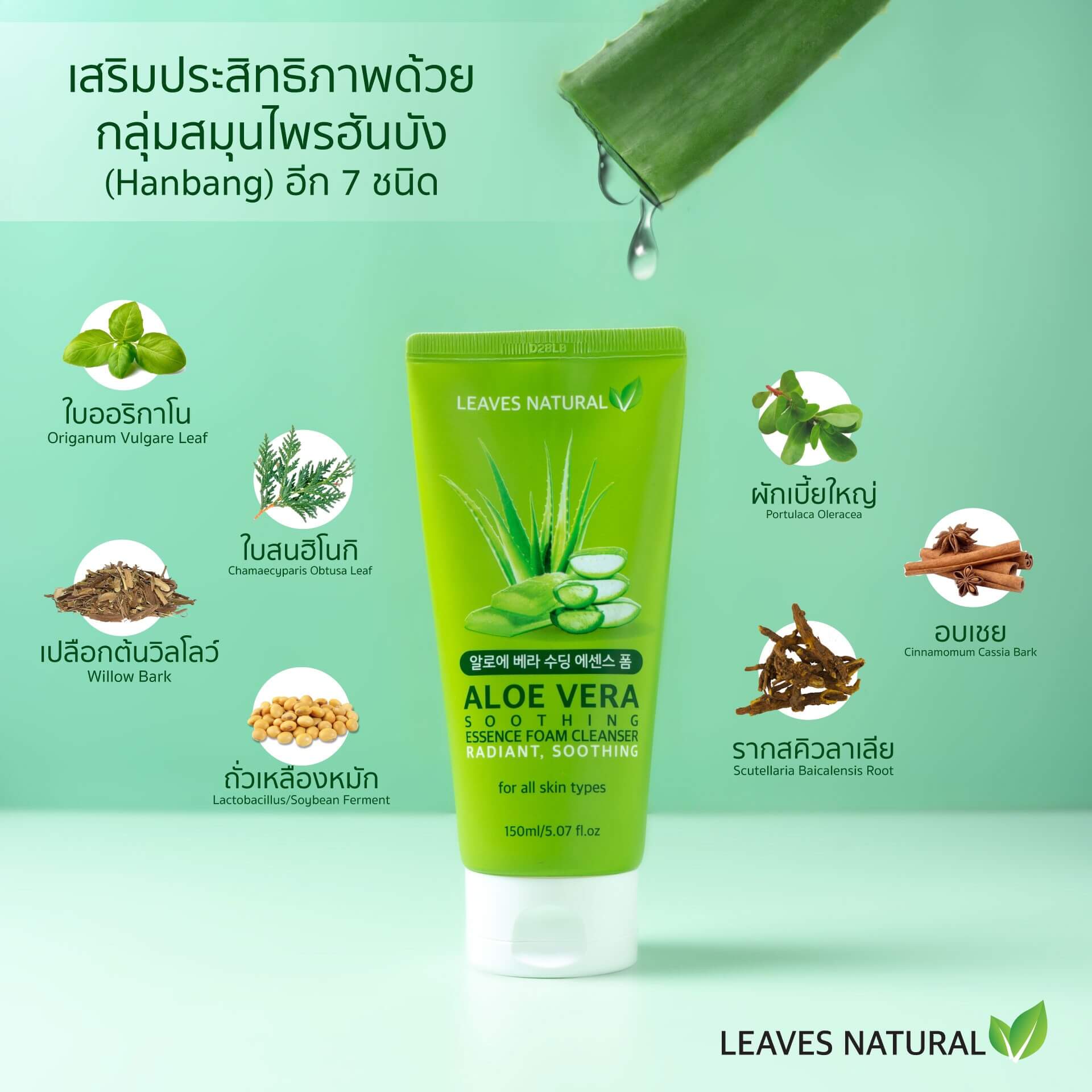 Aloe Vera Soothing Essence Foam Cleanser,Foam,โฟม,โฟมล้่งหน้า,ทำความสะอาดหน้า,ลดสิว,ล้างหน้า